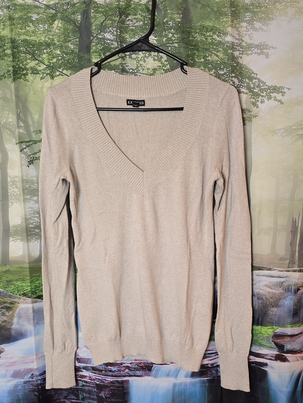 Express Women's Light Cream V-Neck Sweater